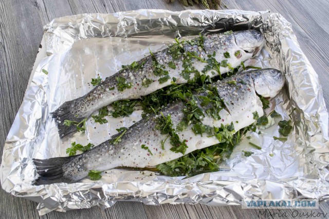 Тема памяти БоРмАnа и Дженибека, Готовим по рецептам ребят