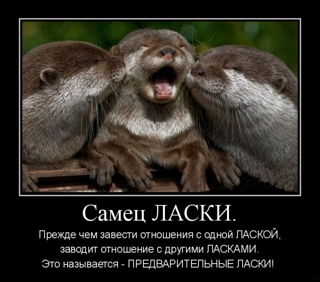 Подозрения подтвердились - у жены завелся любовник