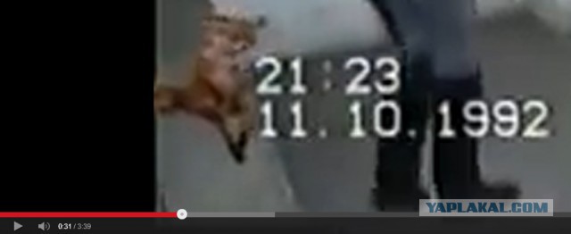 Дискотека! Начало 90-х.