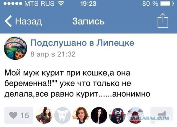 Смешные комментарии из социальных сетей