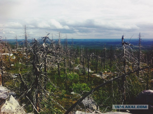 Карелия. Побережье Белого моря.