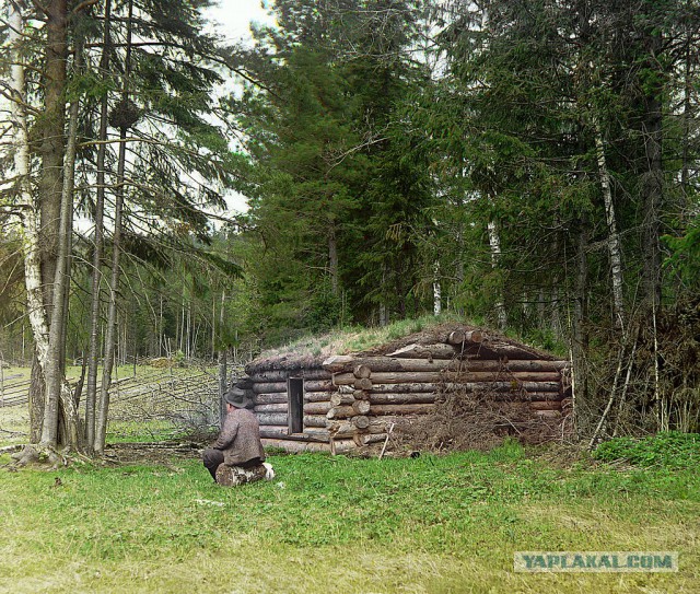 Российская Империя Вновь