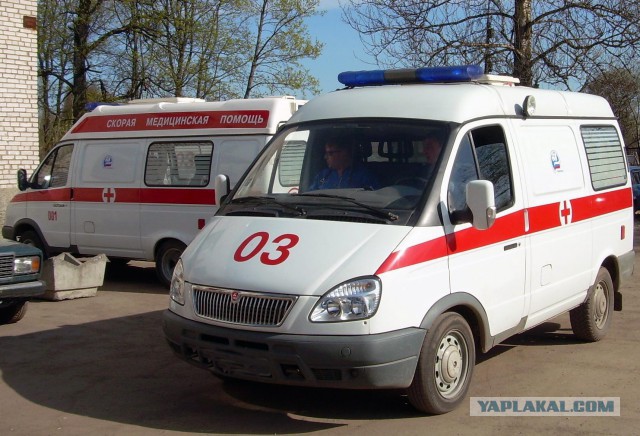 Простой способ научиться свистеть раз и навсегда