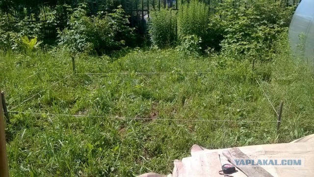 Бассейн на дачу