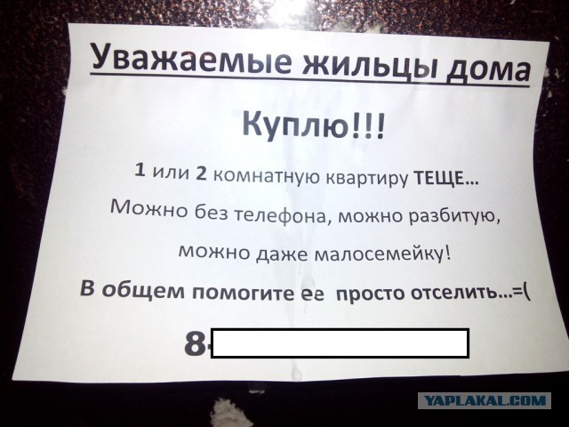 Картинки не из интернета.....