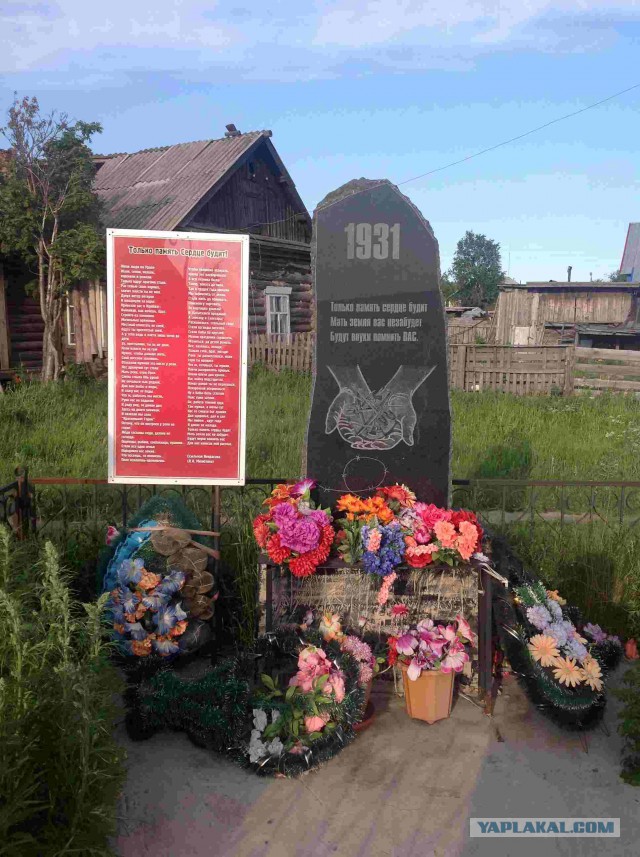 В гостях у загадочной ямальской тундры