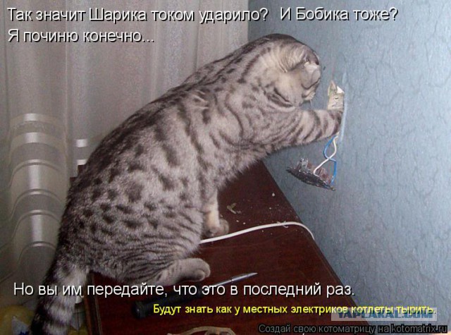 А чем я не японец?