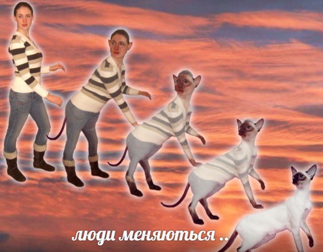 Ужасы и приколы из соцсетей 18+