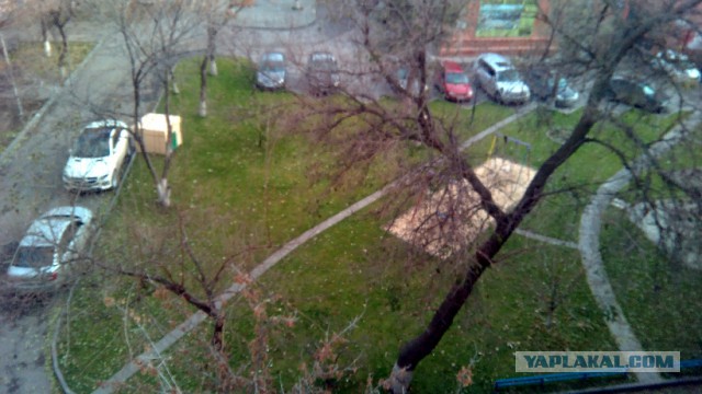 А как в вашем регионе убирают снег?