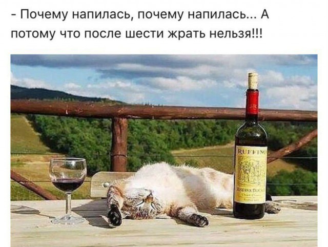 Анекдоты в картинках (16+)