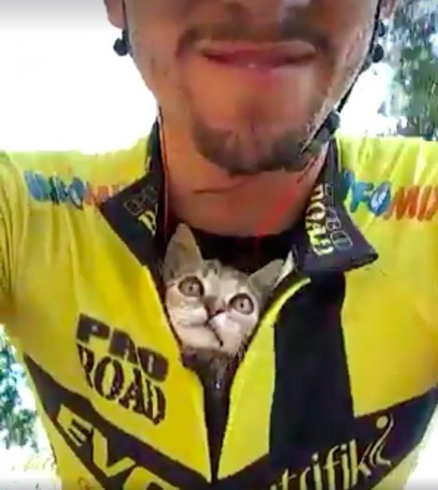 Безмерная благодарность от котенка велосипедисту