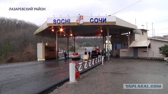 Вернулся из Сочи