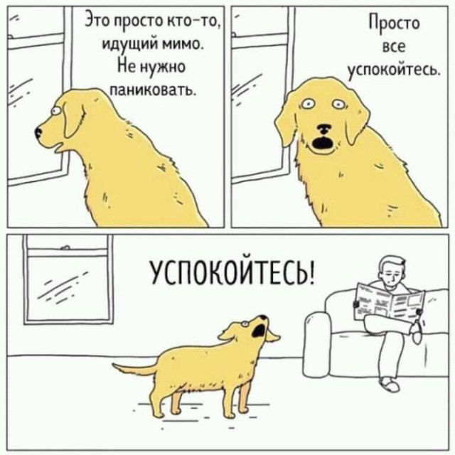 Подборка интересных и веселых картинок