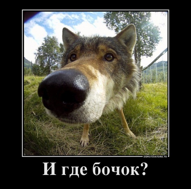 100 картинок для поднятия настроения!