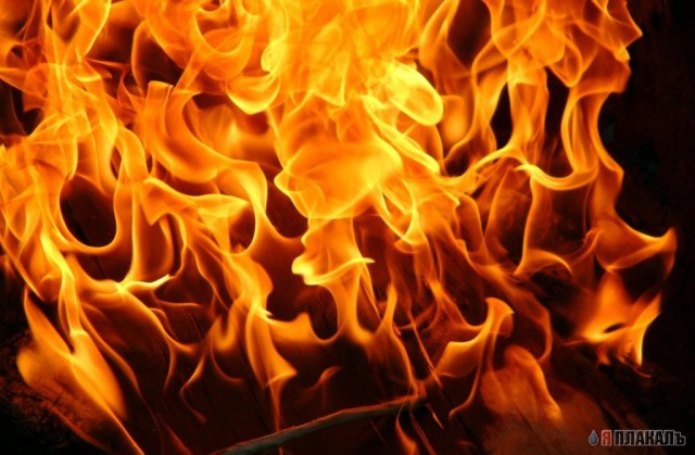 Пламя... Завораживает на генетическом уровне!