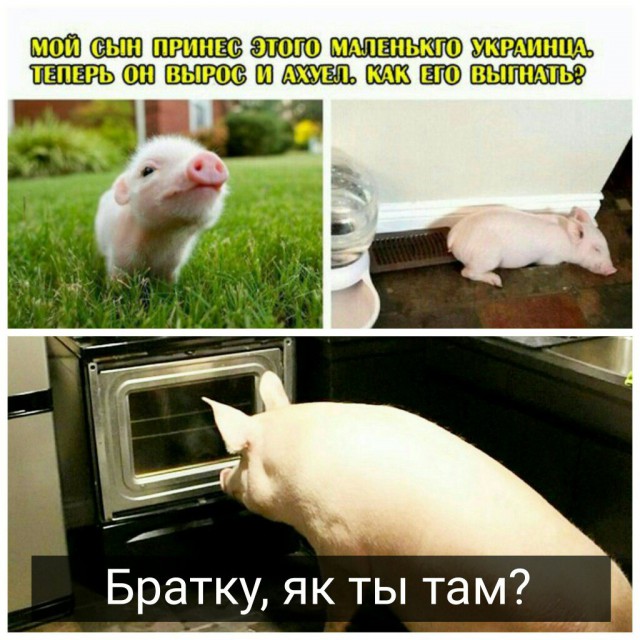 Адовая смесь чернушных картинок на вторник