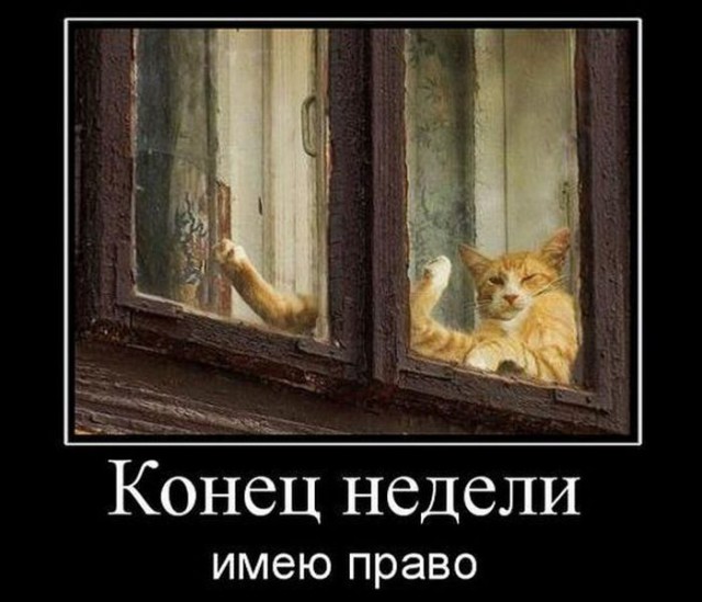 Картинки для настроения в пятницу.