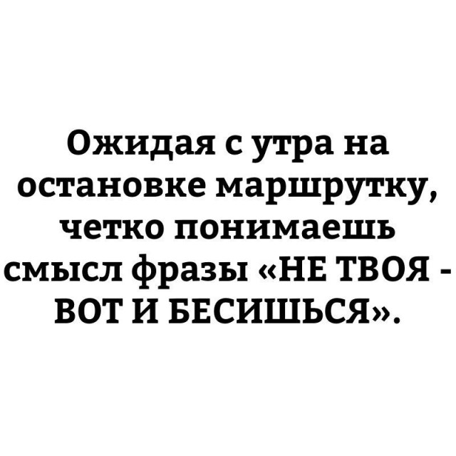 Комментарии от обладателей острых языков в интернете