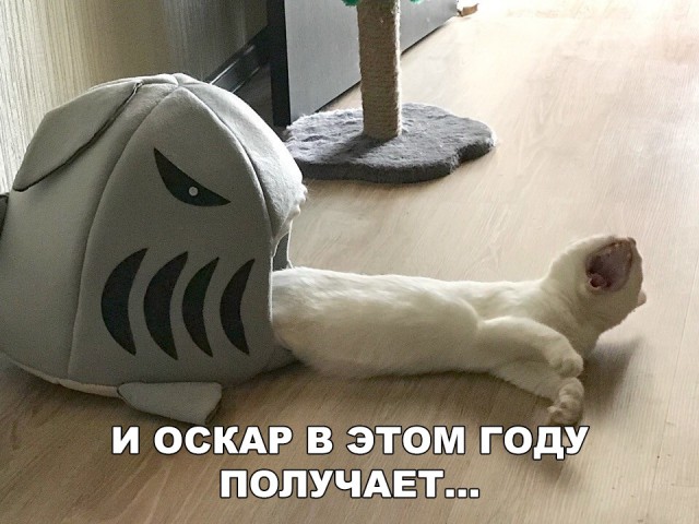 Нестандартный юмор