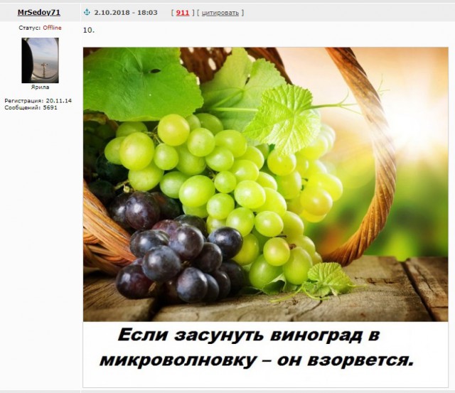 Подборка бесполезных фактов