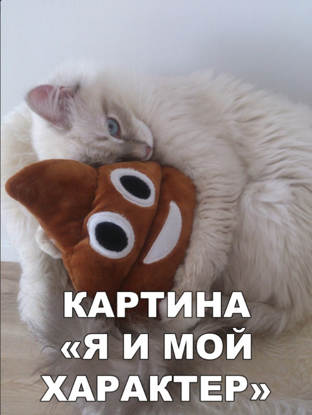 Нестандартный юмор