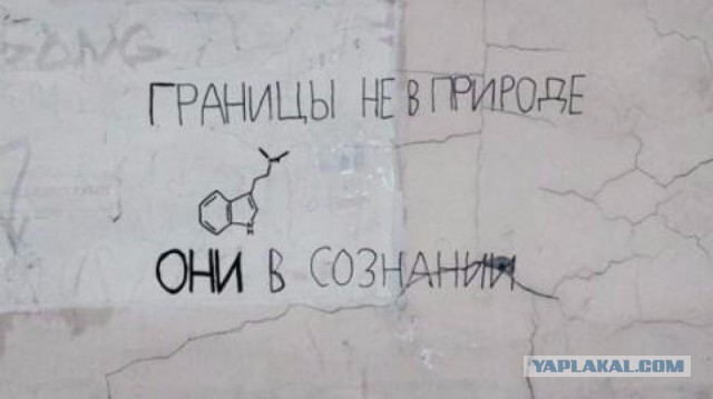 «Бродячие» философы: 17 глубокомысленных заметок в транспорте и на улицах