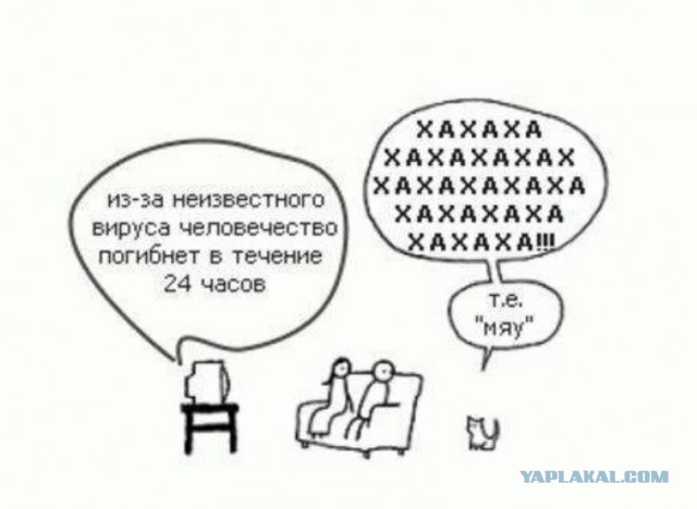 Ученый рассказал, как инопланетяне наблюдают за нами при помощи кошек