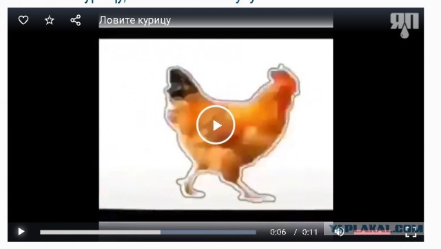 Кому нечем заняться: ловите курицу, нажимая на паузу