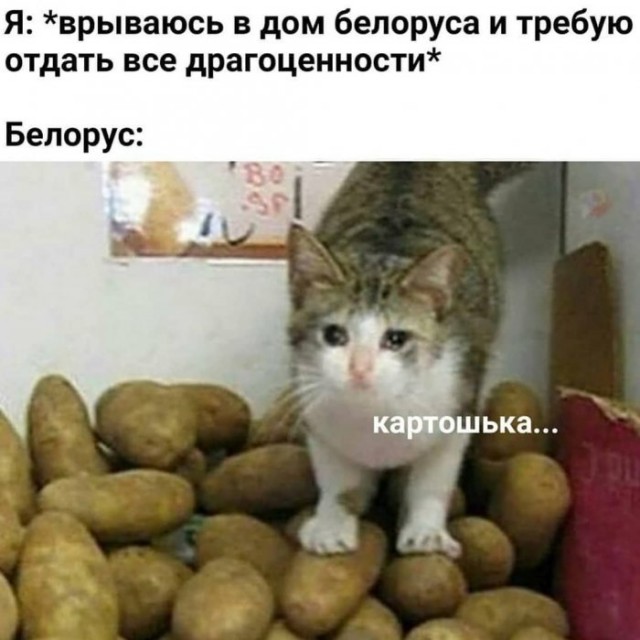Немного картинок для настроения 06.04.20