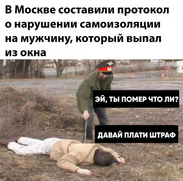 Чуток картинок 13.04.20