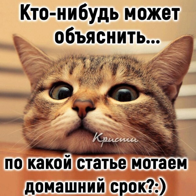 Кучка картинок №7