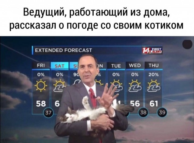 Немного картинок для настроения 16.04.20