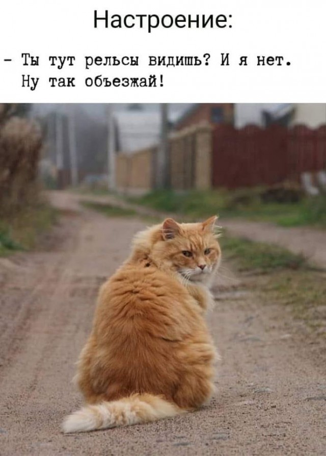 Бредзона 01.05.20