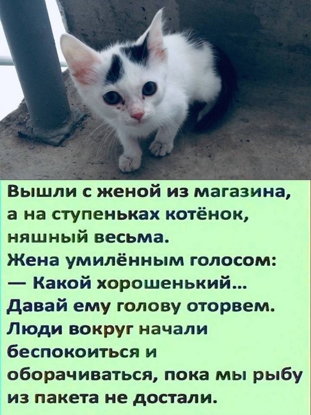 Бредзона 15.05.20