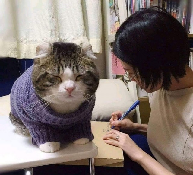 Зверушки