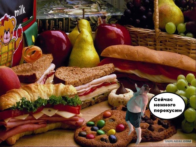 Фотожаба: Пузатик!