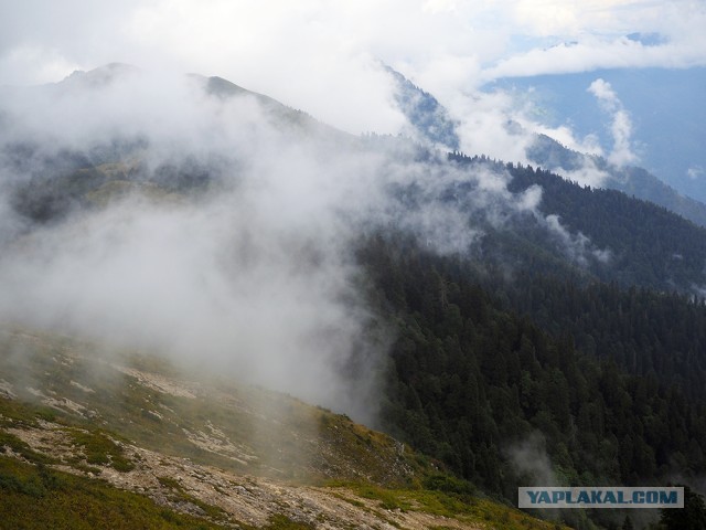 Абхазия Небольшое фотопутешествие