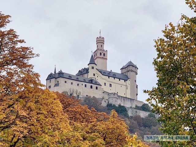 #ЯПовар. Маринованные сливы по-каневски