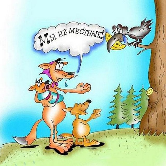 ЯПокатуры от tubdoc62