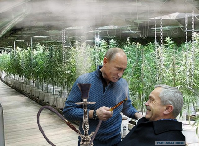 Фотожаба: Стоматолог Путин