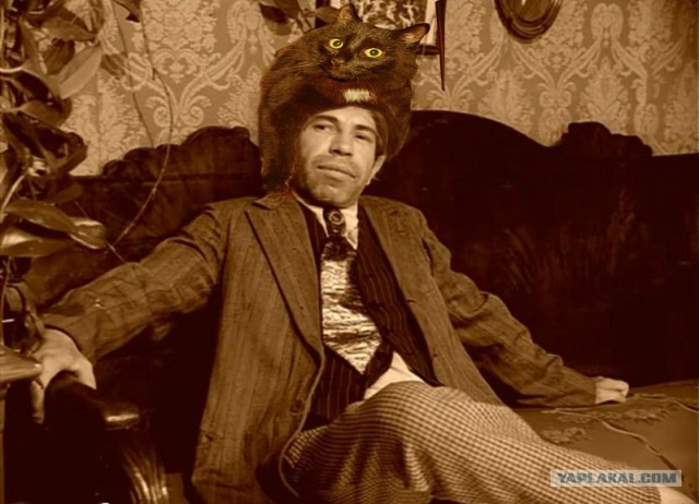 Эпичный кот