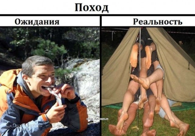 Фотосалат и картинки