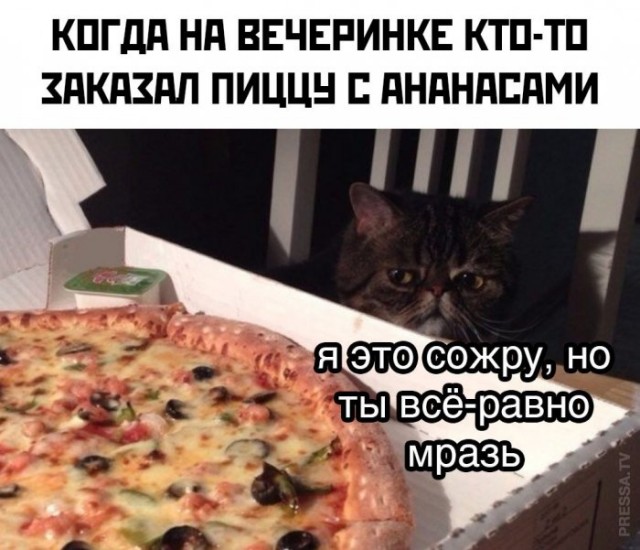 Картинки и мемы для настроения 02.02.2021