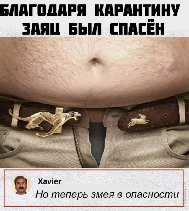 Картинки и мемы для настроения 004