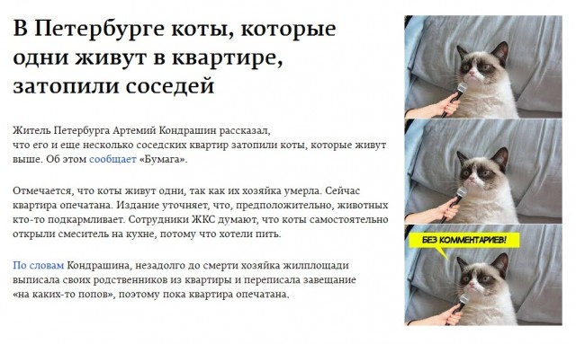 Так себе картинки 20.02.21