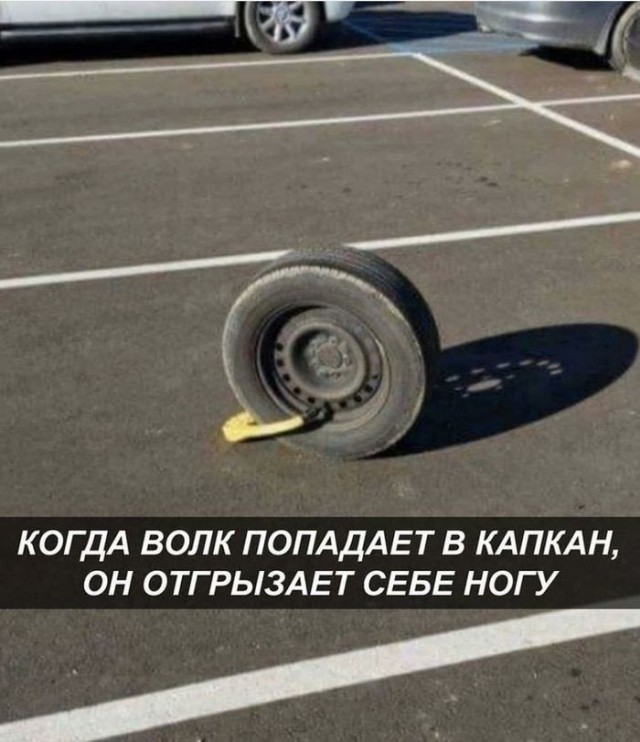 Картинки и мемы для настроения 13.04.2021