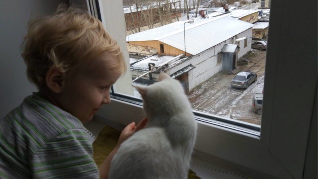 Вторник. Кото-вторник...