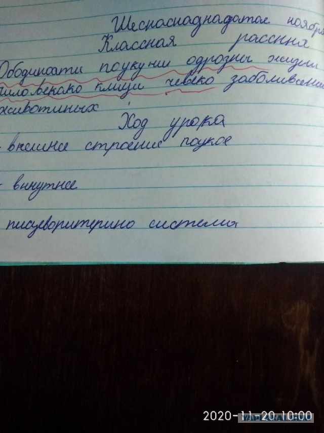 Свинегрет: картинки, надписи и прочее на 06,07.202 или №31