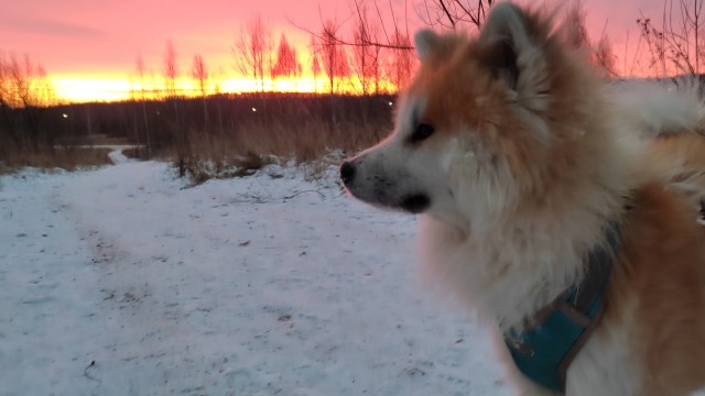 Последнее фото