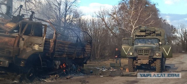 Кадыровцы на Украине